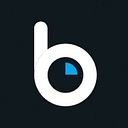 BLUEPI PROPERTIES LIMITED logo