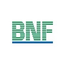 BNF Capital Limited logo