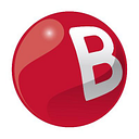 Logo de BRAITHWAITE STEINER & PRETTY PTE. LTD.