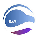Logo de BSD Business Consulting