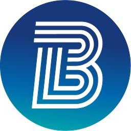 BTC Digital Ltd.