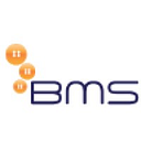 BUSINESS SYSTEMS MANAGEMENT LLC