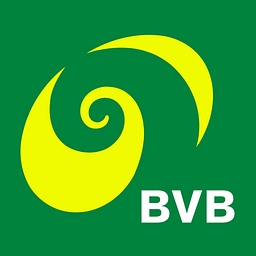 BVB