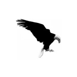 Bald Eagle Gold Corp.