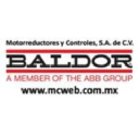 Logo de Baldor Professional Services, LLC