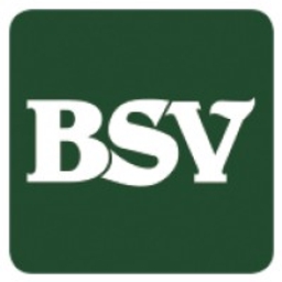 Bank of Southside Virginia Corporation The