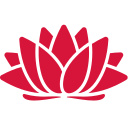 Logo de Basketball NSW