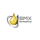 Logo de Bay Matrix Group