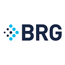 Logo de Berkeley Research Group