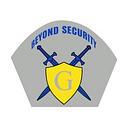 Logo de Beyond Security LLC