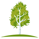 Logo de Birch Agency