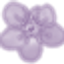 Blossom Dental Clinic logo