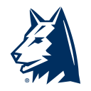 Blue Steel Solutions logo