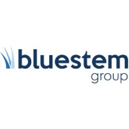 Bluestem Group Inc