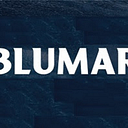 Logo de Blumar