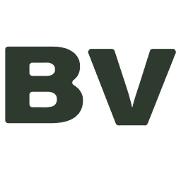Bold Ventures Inc
