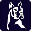 Logo de Boxer Security