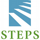 Logo de Bright Steps Therapy Network