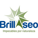Logo de Brillaseo