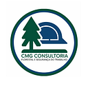 Logo de CMG Consultoria