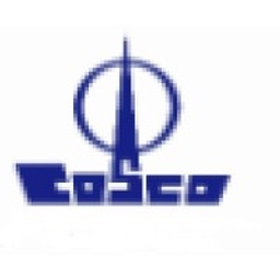 COSCO SHIPPING Holdings Co Ltd ADR