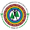 Logo de Caja Morelia Valladolid Sc De Ap De Rl De Cv