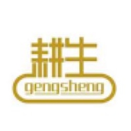 China GengSheng Minerals Inc