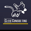 Logo de Cleo Consulting