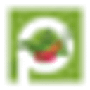 Logo de Club Punto Verde