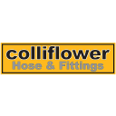 Logo de Colliflower