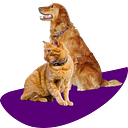 Logo de Country View Veterinary Hospital