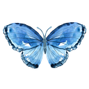 Logo de Create Your Life Solutions