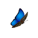 Logo de Cres Entserv Costa Rica, Limitada