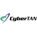CyberTAN Technology Stock