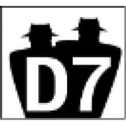 D7 Enterprises Inc