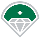 DIAMOND BASEBALL HOLDINGS LLC