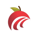 DINGWALL AUTOS LIMITED logo