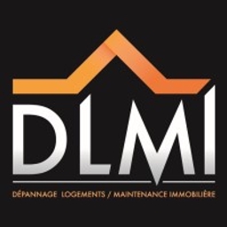 DLMI