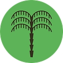 DOSA N CHUTNEY LTD logo