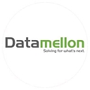 Datamellon Limited logo