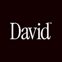 David AI