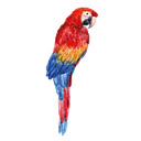 Logo de Decor San Blas