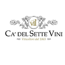 Del-Sette Capital Management