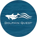Dolphin Homes Ltd logo