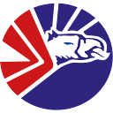 Logo de Domesa