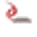 Logo de Dynamic Engineering
