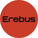 EREBUS CONSULTING LIMITED logo