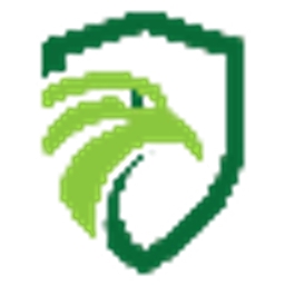 Eagle Eye Solutions Group plc