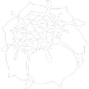 Eden Reforestation Projects logo