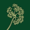Elderflower Care Services Ltd logo